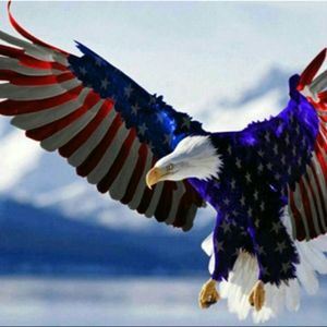 Meet your Posher, Will